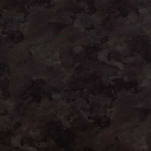 5773 TER NEPTUNITE