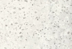 Corian Arrowroot
