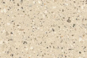 Corian Fossil