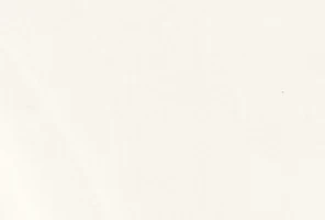 Corian Venaro White
