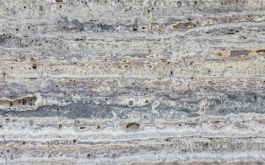 Travertine Titanium Premium Travertine Titanium Premium